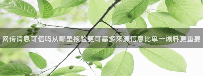 91吃瓜网页地址:网传消息可信吗从哪里核验更可靠多来源信息比单一爆料更重要