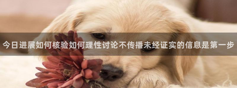 91吃瓜入口导航:今日进展如何核验如何理性讨论不传播未经证实的信息是第一步