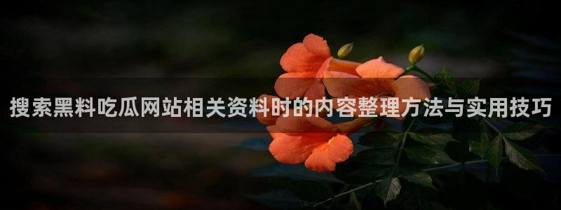 91吃瓜在线观看最新地址入口:搜索黑料吃瓜网站相关资料时的内容整理方法与实用技巧