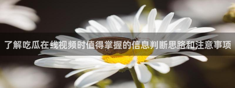 91吃瓜每日资讯:了解吃瓜在线视频时值得掌握的信息判断思路和注意事项