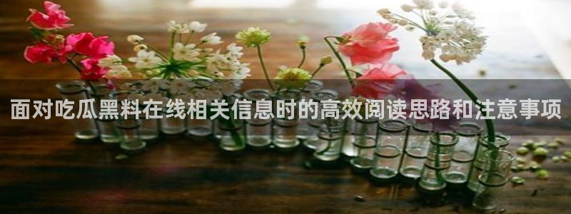 91吃瓜热点资讯：面对吃瓜黑料在线相关信息时的高效阅读思路和注意事项
