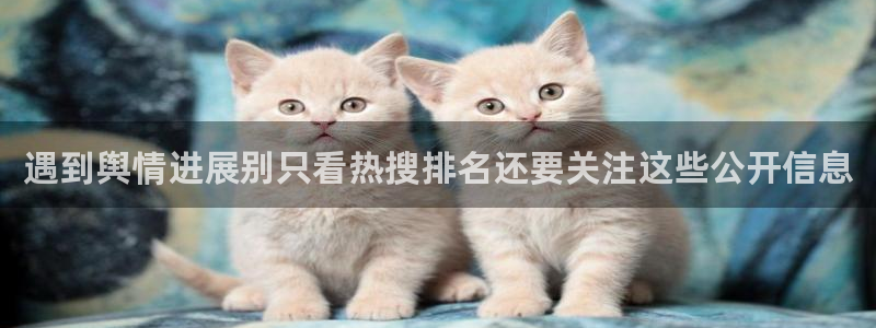 91吃瓜网络事件：遇到舆情进展别只看热搜排名还要关注这些公开信息