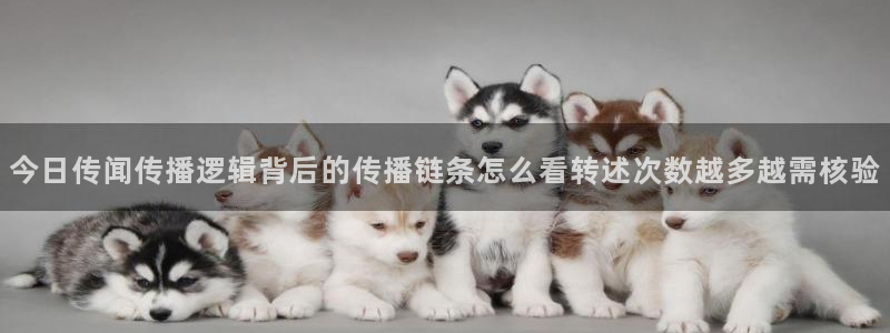 91吃瓜爆料入口:今日传闻传播逻辑背后的传播链条怎么看转述次数越多越需核验