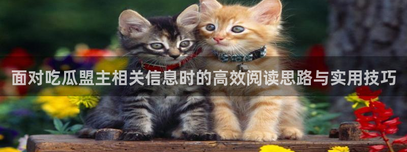 91吃瓜网络资讯：面对吃瓜盟主相关信息时的高效阅读思路与实用技巧
